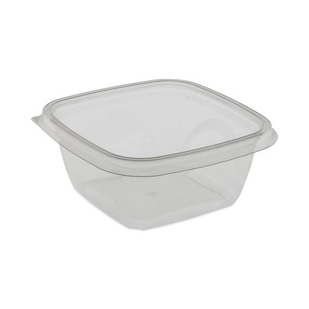 PACTIV Recycled PET Square Base Salad Container, 5x5x1.75, 16oz, Clear, PK504 SAC0516